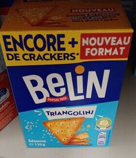 Belin Triangolini — MS Bhai Bhai Enterprise
