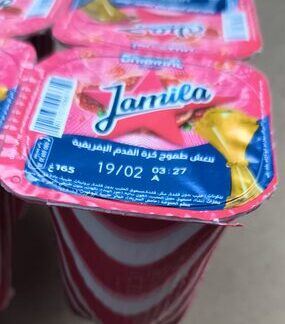 Danone Jamila رايبي — MS Bhai Bhai Enterprise