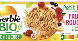 Gerblé Petit Déj' Fruits Rouges à l'Épeautre — MS Bhai Bhai Enterprise