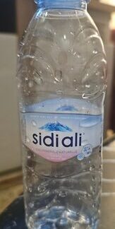 سيدي علي Sidi Ali — MS Bhai Bhai Enterprise
